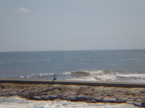 IMGP6742