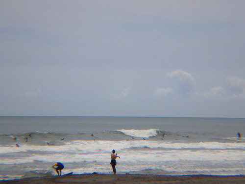 IMGP5284