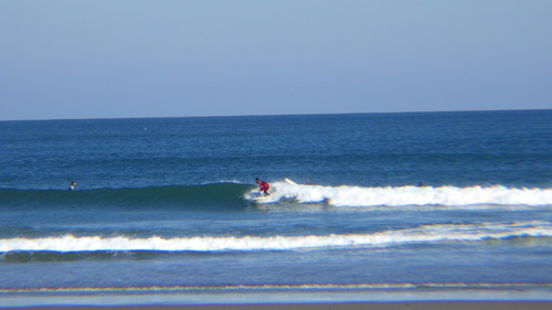 RIMG0541