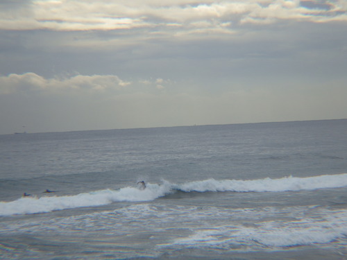 IMGP3247