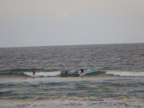 IMGP5039