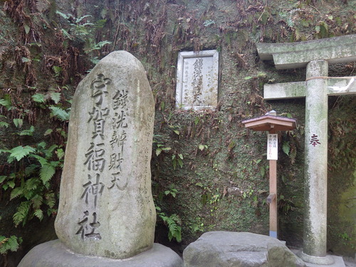 IMGP4140