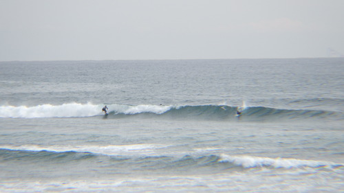 RIMG0889