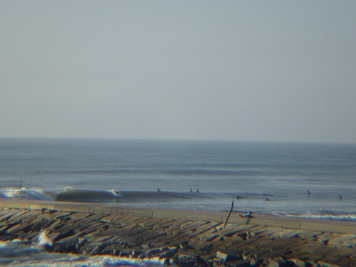 IMGP6811