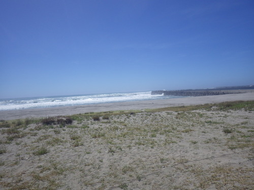 IMGP1295