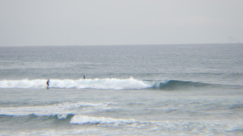 RIMG0890