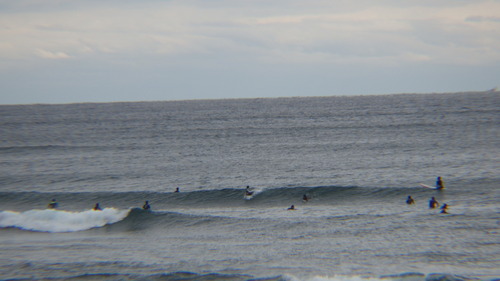 RIMG0981