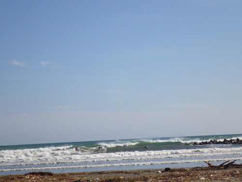IMGP6851