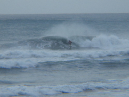 IMGP1139