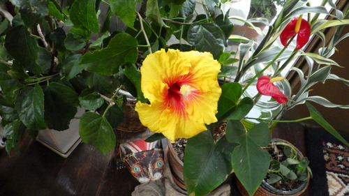 RIMG0882