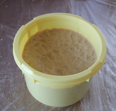 miso2