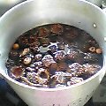 562dc8f8.jpg