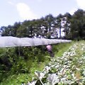 bec20725.jpg