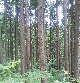 12-07-23_005~001