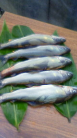 201007271652000