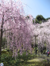 060