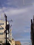 6b658897.jpg