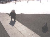 735a6187.jpg