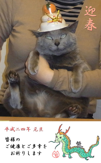 ΢(�֥�����)