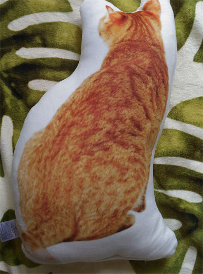 茶ネコクッション後姿