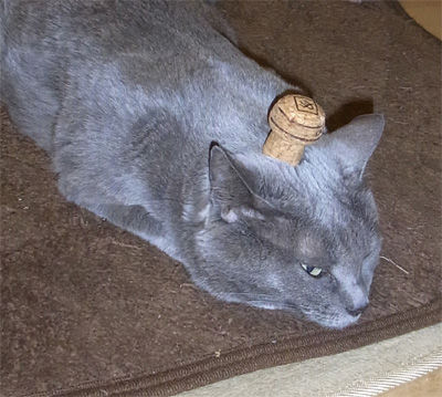 �����Ϥ��Ƥ�