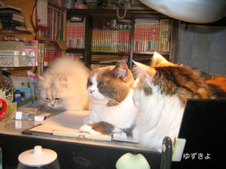 2004_03_01_02a