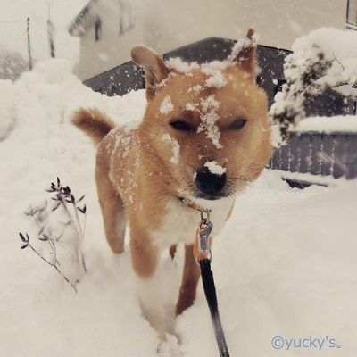 taiyo20150227-1