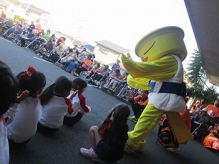 IMG_6550