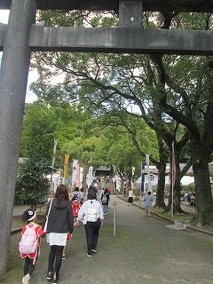 IMG_6210