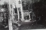 村の鎮守「大山神社」