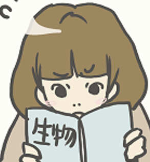 6b73b93a.png