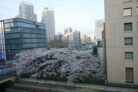 DSC00568