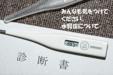 TAIONIMGL0216_TP_V