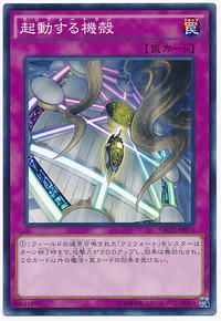 card100018857_1