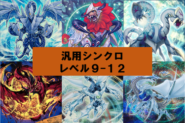 汎用シンクロレベル9-12