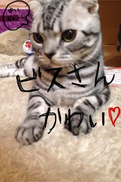 DGzD3BDUIAA31XH