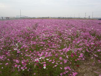 P1010791