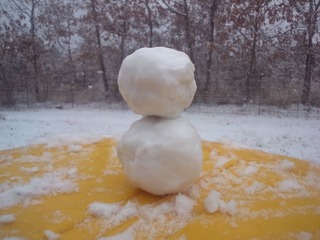 WP_000443_02