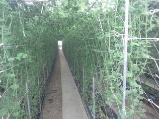 WP_000447_02
