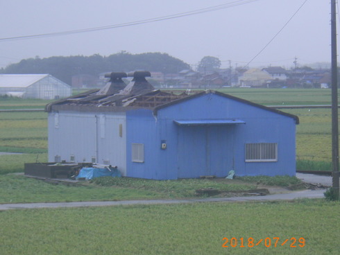G700¥Ð¥Ã¥¯¥¢¥Ã¥× H30.7.294 440