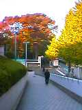 JP510106.jpg