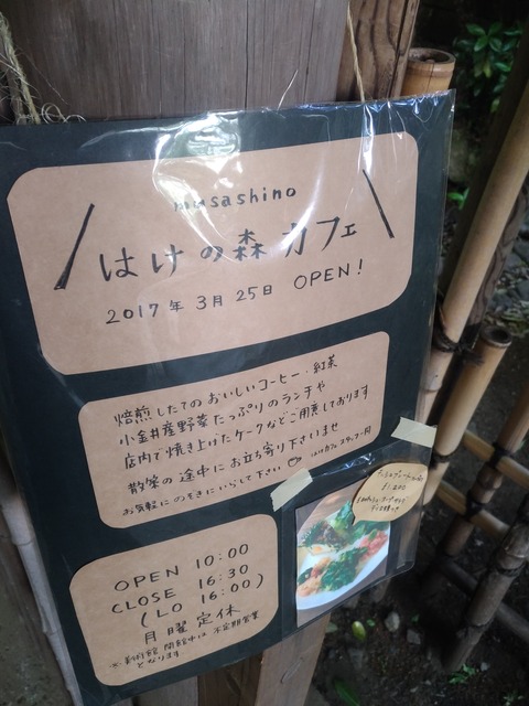 P_20170427_150606_vHDR_On