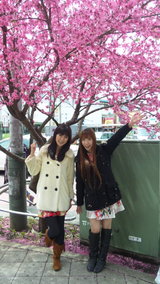 c93704fb.jpg