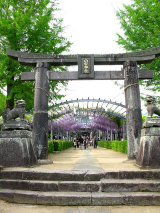 090419-yamadanofuji01