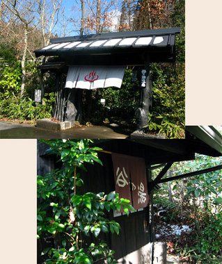 100120-taninoyu01