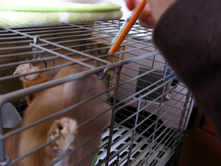 090420-maron03