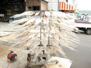 090520-yobuko08jpg