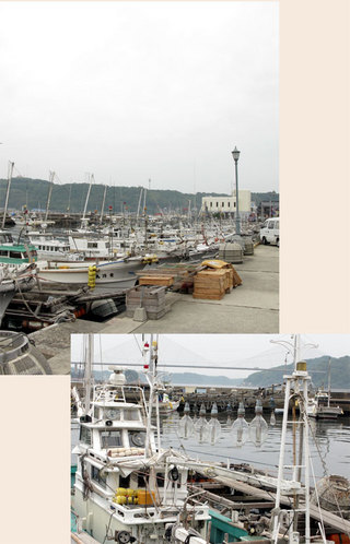 090520-yobuko07jpg