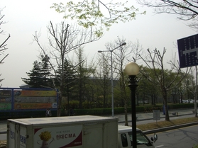 �����ԥå����� (8)