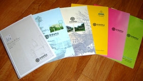 ����Ρ���